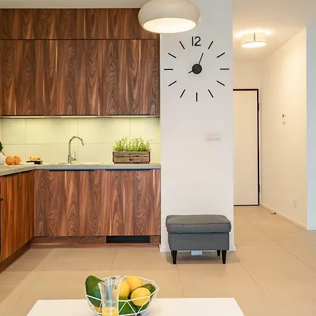 Art River View Wroclaw