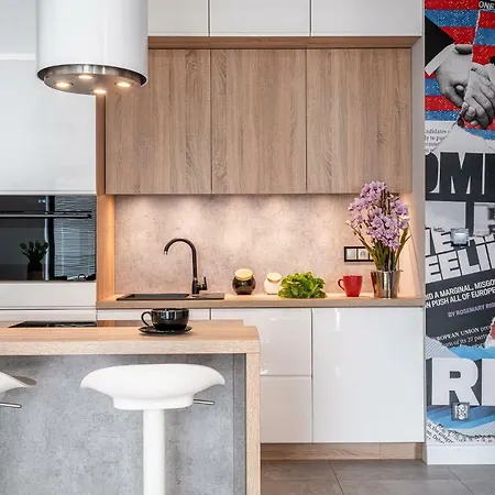 Art River View Wroclaw