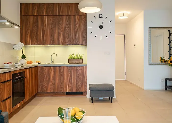 Art River View Wroclaw